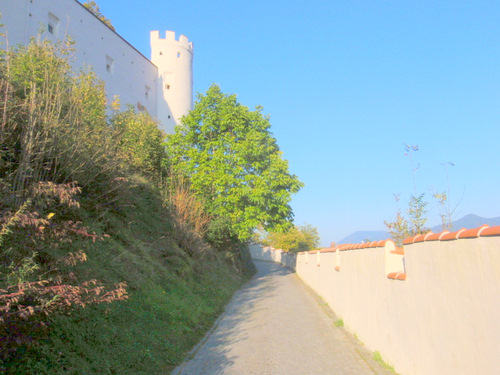 Castle F&uuml;ssen.